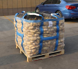 Potato bulk bag